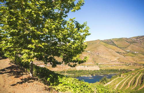 Quinta do Valdalágea - Foto 116