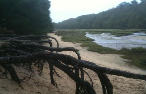 Gite ty hent houarn - Foto 27