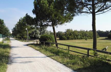 Residence Adriatico - Foto 53