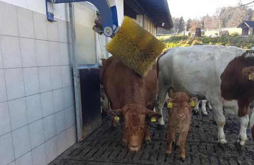 Gästehaus Annemarie - Foto 25