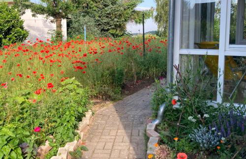 Ferienhaus am Wasser im Grünen - Foto 9
