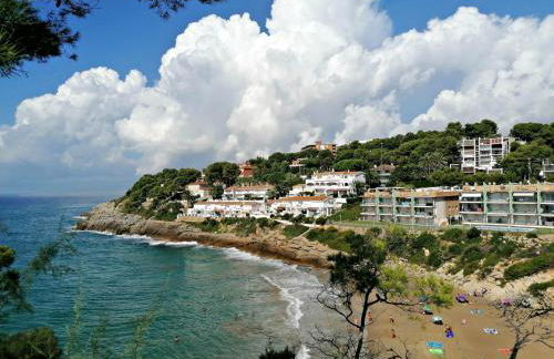 AGUILA DORADA - Foto 16