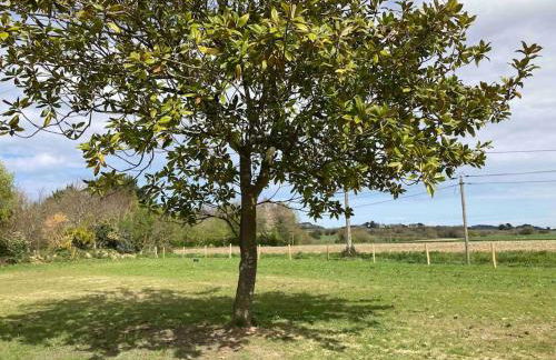 Gîte Ty Guen à Paimpol - Photo 27