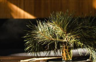 Domek SzumiSosna1 - Foto 15