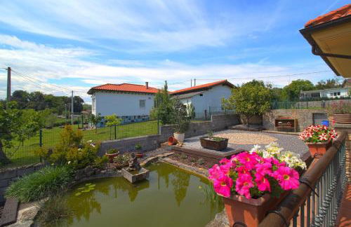 Green House - Foto 24