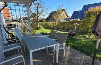 Seeschwalbe - Foto 26