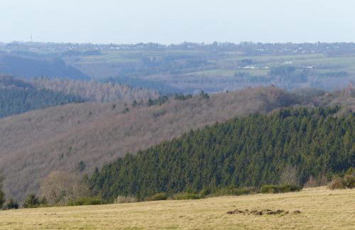 Chalets am National Park Eifel - Photo 10