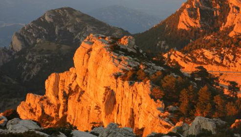 La Caseta del Port - Photo 5