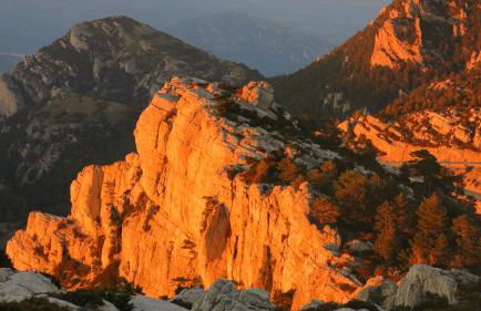 La Caseta del Port - Foto 5