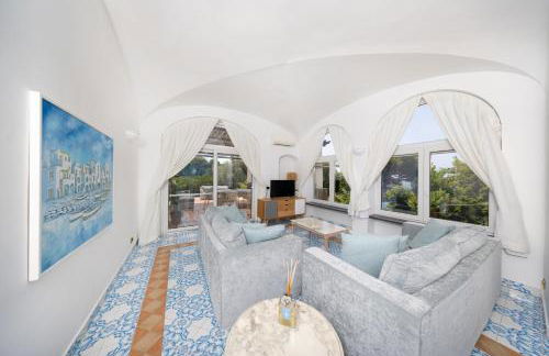 Oliveto Capri apartments - Foto 132