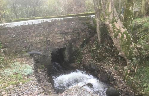 Lakeland Retreat - Foto 32