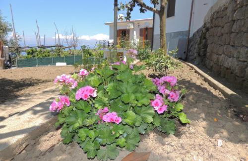 Johanna’s house - Foto 35