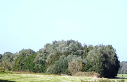 Elbe Ferienwohnung Glückstadt Reimer Ahsbahs - Foto 7