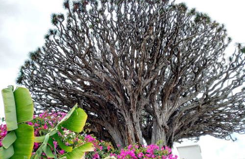 Country House, Paradise Holiday Homes - Foto 17