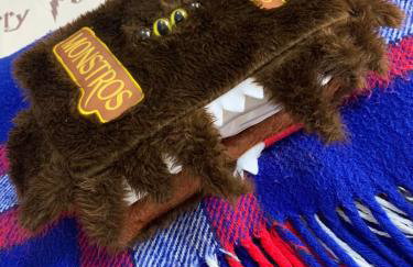 Aconchego do Harry Potter - Foto 14