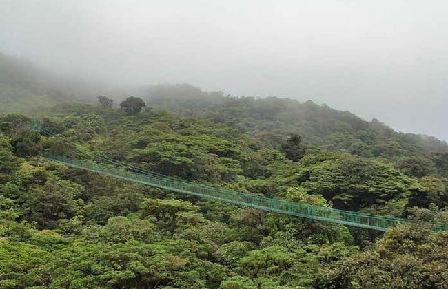 Tour dei ponti sospesi della foresta nebulosa di Monteverde - Foto 1