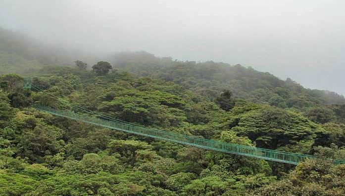 Monteverde Cloud Forest Suspension Bridges Tour - Foto 1