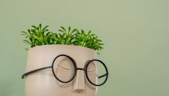 Sitholia Apartment Vatopedi - Foto 5