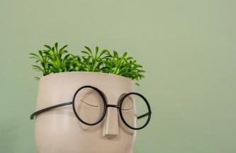 Sitholia Apartment Vatopedi - Photo 5