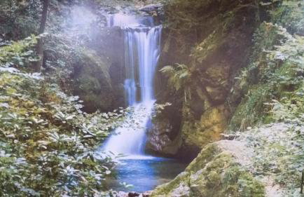 Rancho do Colega - Foto 57