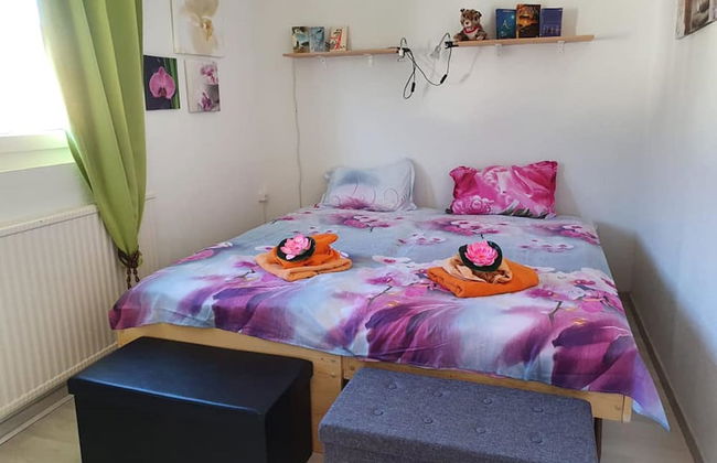 Chez Minnie - Foto 4