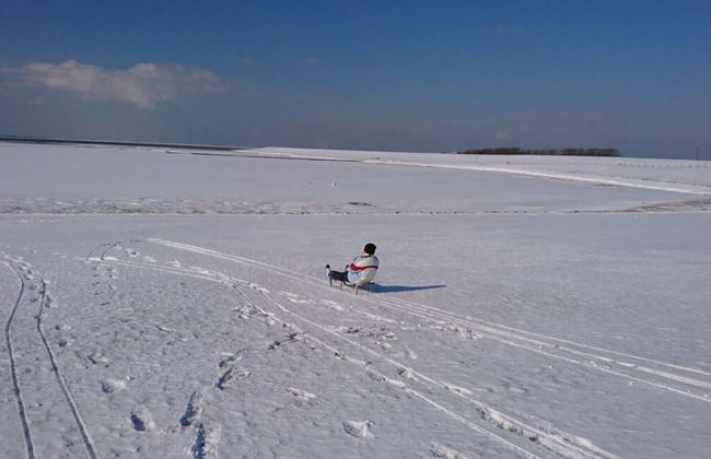 West in Haus Luttmoor - Foto 15