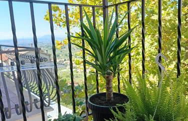 Ape Regina - Foto 11