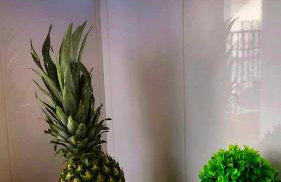 Focus apartment - Foto 26