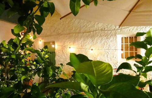 Casa Shyshka country cottage - Foto 27