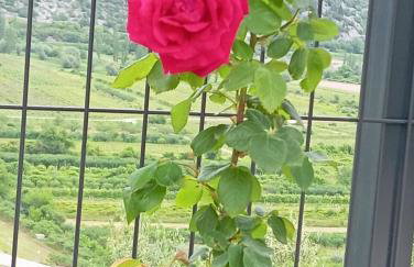 Holiday Home Vega in Nature with Pool - Foto 27