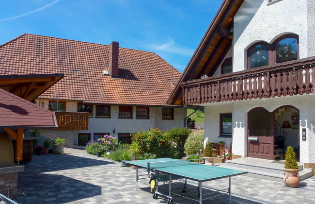 Pension Himmelsbach - Foto 31