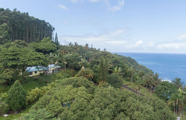 Hamakua Pukana La Hale 3 Bedroom Home by RedAwning - Foto 24