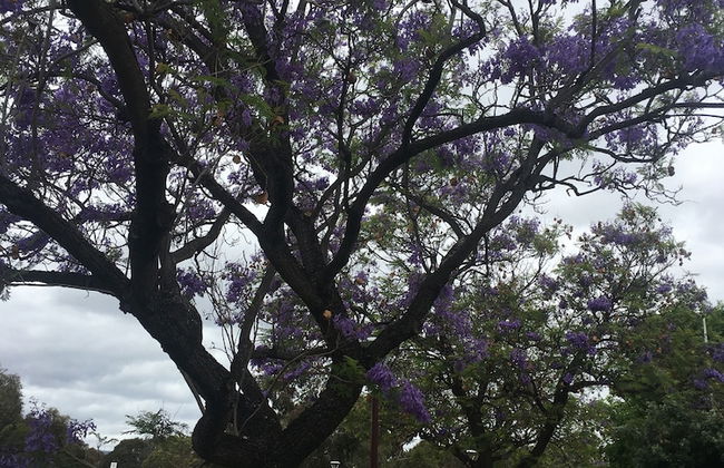 Adelaide Style Accommodation near City - Foto 34