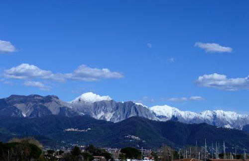 plumbago blue - Foto 12