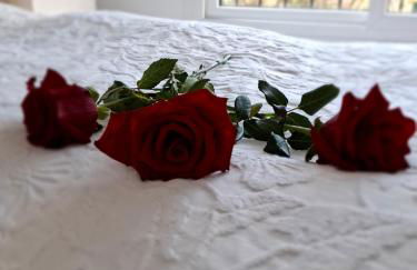 Modern Appartement in La Cala de Mijas Miraflores - Photo 23