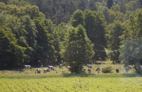 Ferienhof Meyer - Foto 65