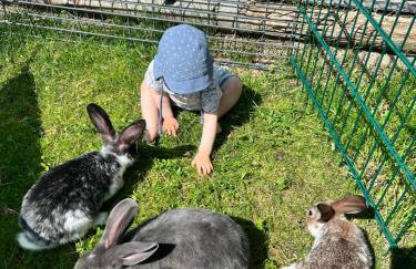 Ferien-Landleben - Photo 11