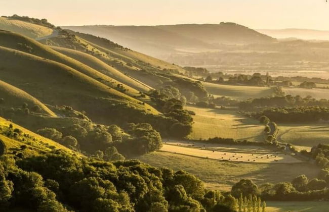 Seaside Serenity 3-bed Deck Garden Near Shore - Photo 31