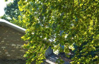 Kissos Experience - Foto 66