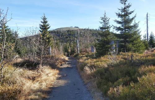 Haus "Panorama" - Foto 24