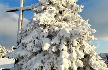 Modernes Familien Tiny House - Natur & Sternenhimmel inklusive! - Foto 32