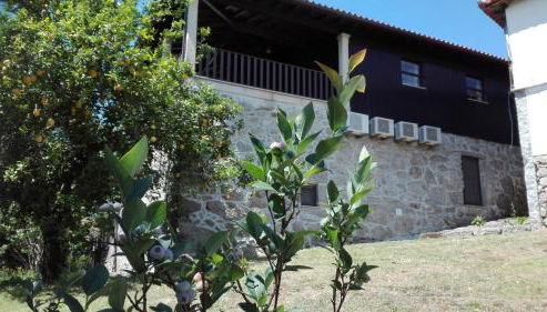 Quinta da Mata - Foto 4, Garden