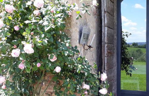 Podere Pievina Delle Corti - Dimora di Campagna - Photo 34