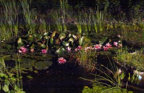 Villa-Hufeland - Foto 81