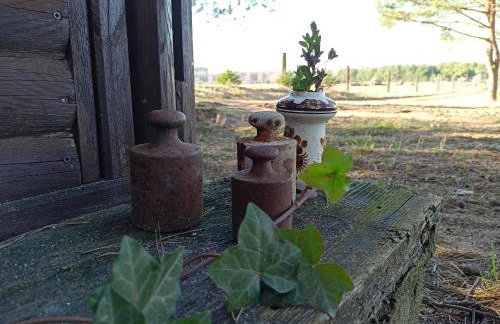 Agroturystyka "Apartament na wsi" Bory Tucholskie - Foto 24