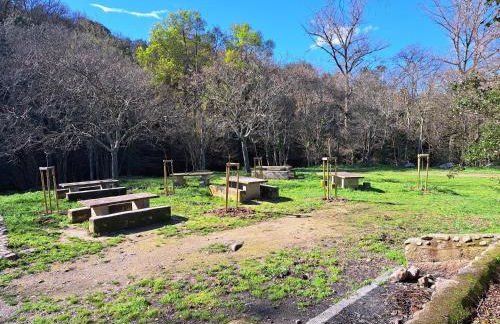 Studio côté jardin - Foto 10