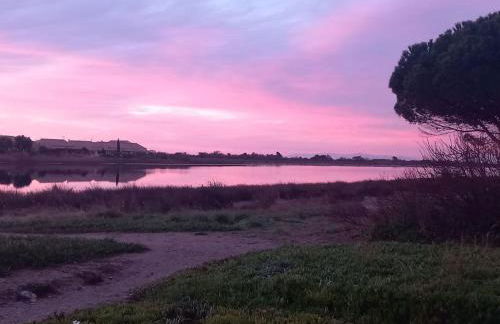 Appartement avec jardin, vue sur étang , proximité mer Gruissan Ayguades - Foto 11