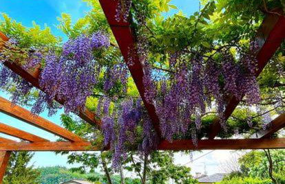 Albergo Torre - Foto 7