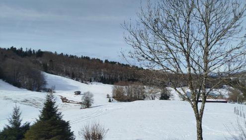 Le clos perché - Foto 2