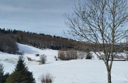 Le clos perché - Foto 2